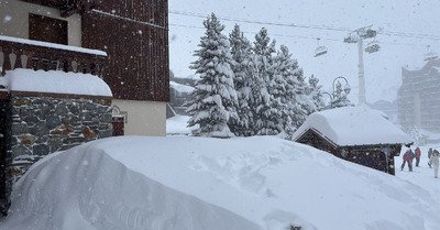 plus de doute possible,🎄 sera blanc!