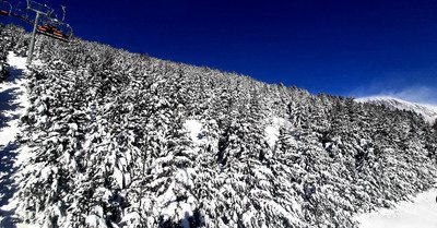 La For&ecirc;t de Villard et La S&ucirc;re, des pentes exquises 🌲❄