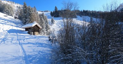 L'EXTASE SPATULAIRE !!!