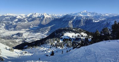 Un jardin d&eacute;j&agrave; bien labour&eacute; 😱