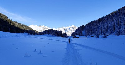 Le foie gras et les hu&icirc;tres, peut-&ecirc;tre un autre jour...