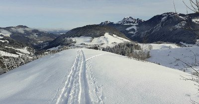 Profiter de la poudre avant le rincage 