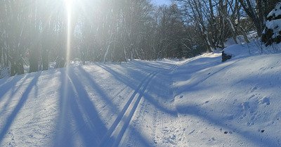 Tr&egrave;s bonnes conditions pour le ski de fond