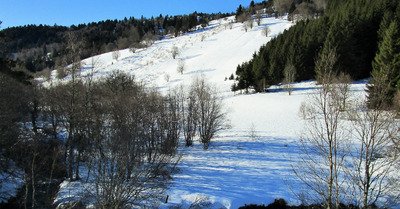 Massif du Forez en SRN
