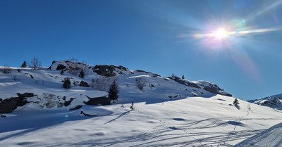 Neige de No&euml;l inattendue ☀️❄️