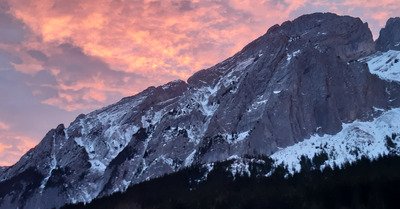 Toujours bon chez les Dumonts