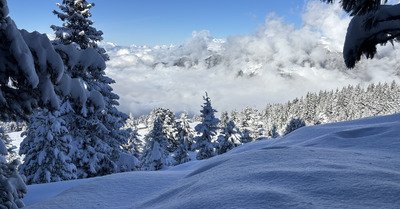 Quelle journ&eacute;e ☃️