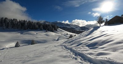 Peuf peuf peuf ... jusqu'&agrave; la nuit