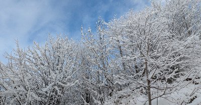 Pour conclure, la poudre