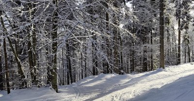 C'est tout de suite et c'est maintenant! 