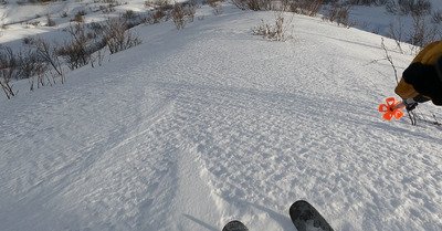 Chasse aux derni&egrave;res traces &agrave; Valmorel
