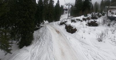 C'est le printemps vent&eacute;