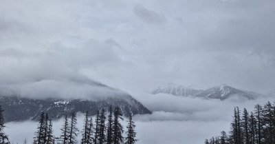 Mode b&ucirc;cheron activ&eacute; 👍🤣