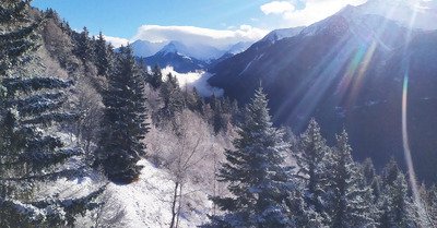 seul jour de la semaine avec neige sous 2000m?