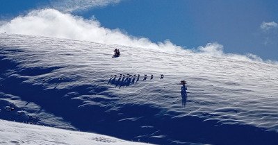 Bon cr&eacute;neau pour C&eacute;&uuml;ze 