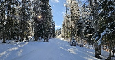 Skate au Col de Carri.