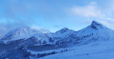 Du gros bucheronnage 😆😁