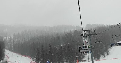 Grisaille de compet'