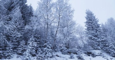 au dessus ou en dessous de la mer de nuage?