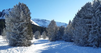 Domaine nordique en tr&egrave;s bonne condition 