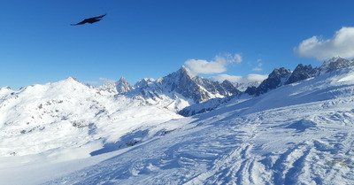 Partis pour faire 2 couloirs, fait aucun