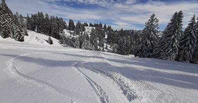C'est pas sympa pour les coll&egrave;gues