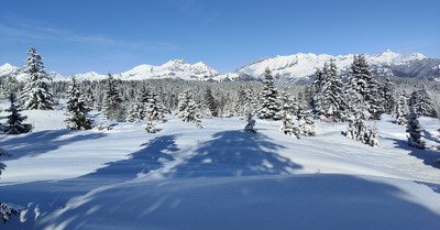 La petite dose qui va bien ❄️