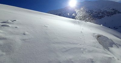 Grand bleu et grand blanc !