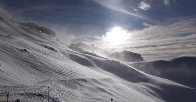 Journ&eacute;e ☆☆☆☆☆