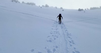 Chamechaude n&eacute;buleux mais poudreux 🤩🤘