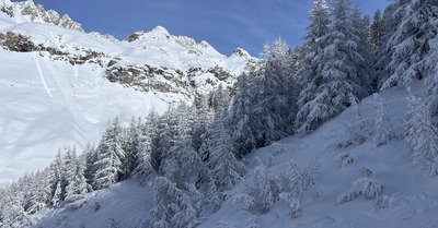 Le jour d&rsquo;apr&egrave;s ! 