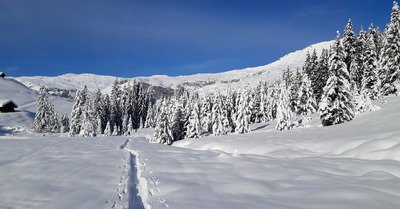 Entre 20 et 80cm de plaisir 🍆