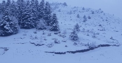 C'est nous les premiers sur la fra&icirc;che !