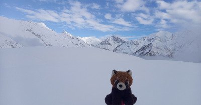 Merci M&eacute;t&eacute;o 😇🦝