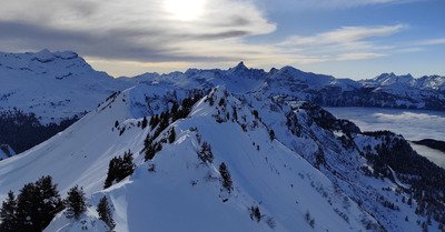 Fat or not fat ? That is the question !