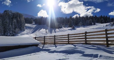 de la neige sur les sapins :-)