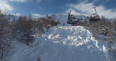 Trafolle et champignons