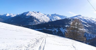 Neige froide, peu de monde