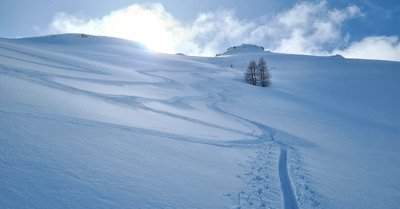 Scandaleusement bon !