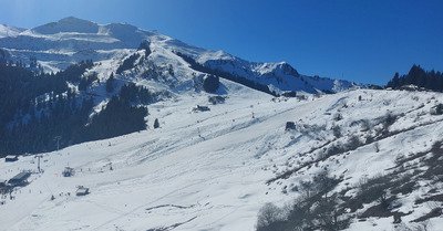 Fr&eacute;quentation en baisse. 