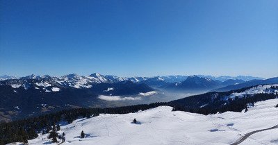 Massacre &agrave; la dameuse