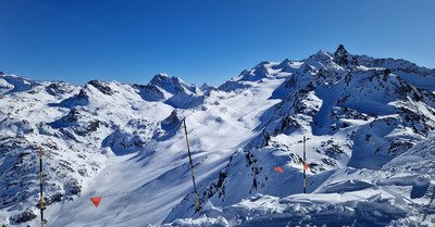 La belle dans son &eacute;crin 