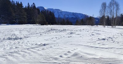 Chamrousse ski de fond : conditions magnifiques 