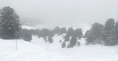 L'hybride, &ccedil;a fonctionne ! 🤣