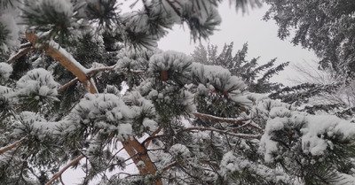 Avant l&rsquo;am&eacute;lioration 