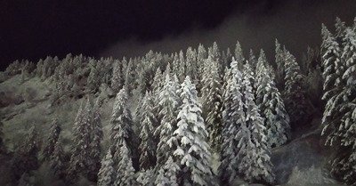 nocturne de saint Valentin