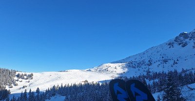 Tr&egrave;s belle journ&eacute;e 