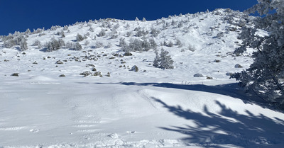 Encore de bonnes conditions au Mezenc