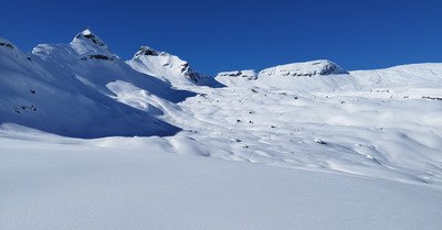 C'est beau, c'est Sales ☀️❄️