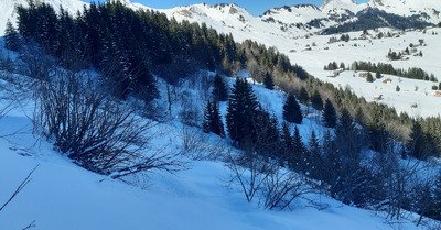 Retour du TK de Planey